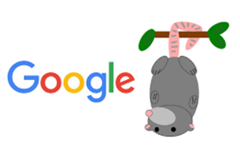 Google Possum là gì? Thuật toán Google Possum và SEO Local