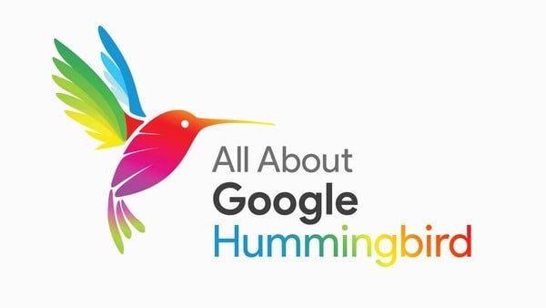 Ảnh hưởng của Google Hummingbird đến SEO