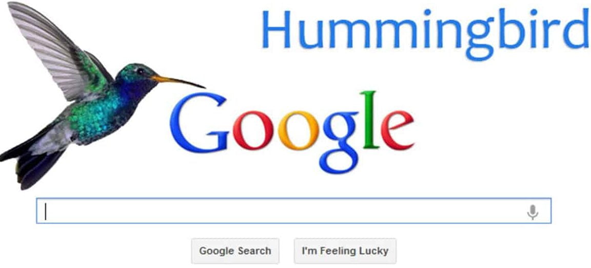 Google Hummingbird là gì? Hoạt động và ảnh hưởng đến SEO