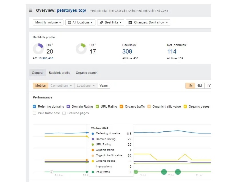 Case Study SEO: Social Profile Entity Web Pet - Petstoiyeu.top