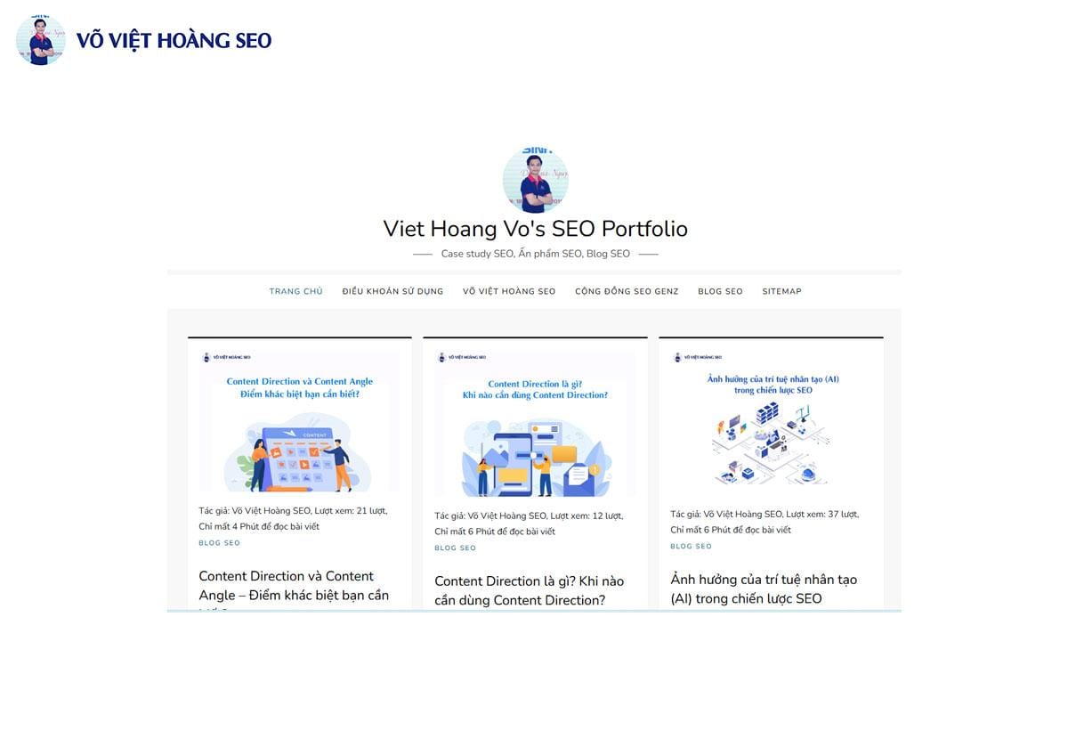 Niche Site: Voviethoangseo.com (chỉ về SEO -  Một chủ đề con của Marketing)