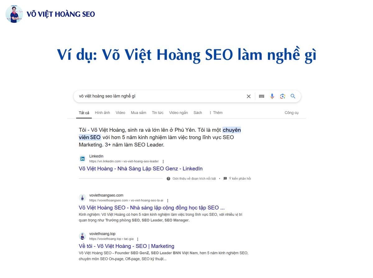 Đoạn văn bản (Paragraph Snippets) - Ví dụ: Võ Việt Hoàng SEO làm nghề gì