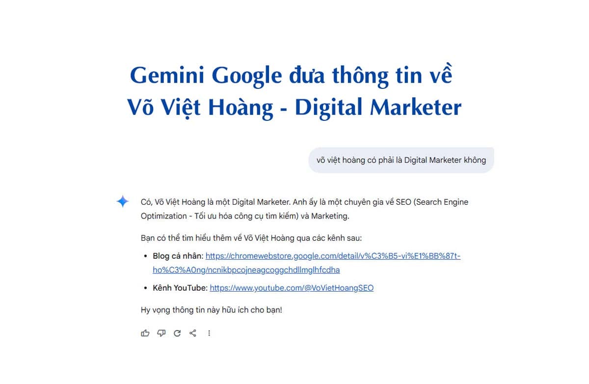 Công cụ AI Gemini của Google cũng đề cập đến thông tin Võ Việt Hoàng - Digital Marketer
